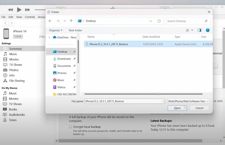 restore firmware