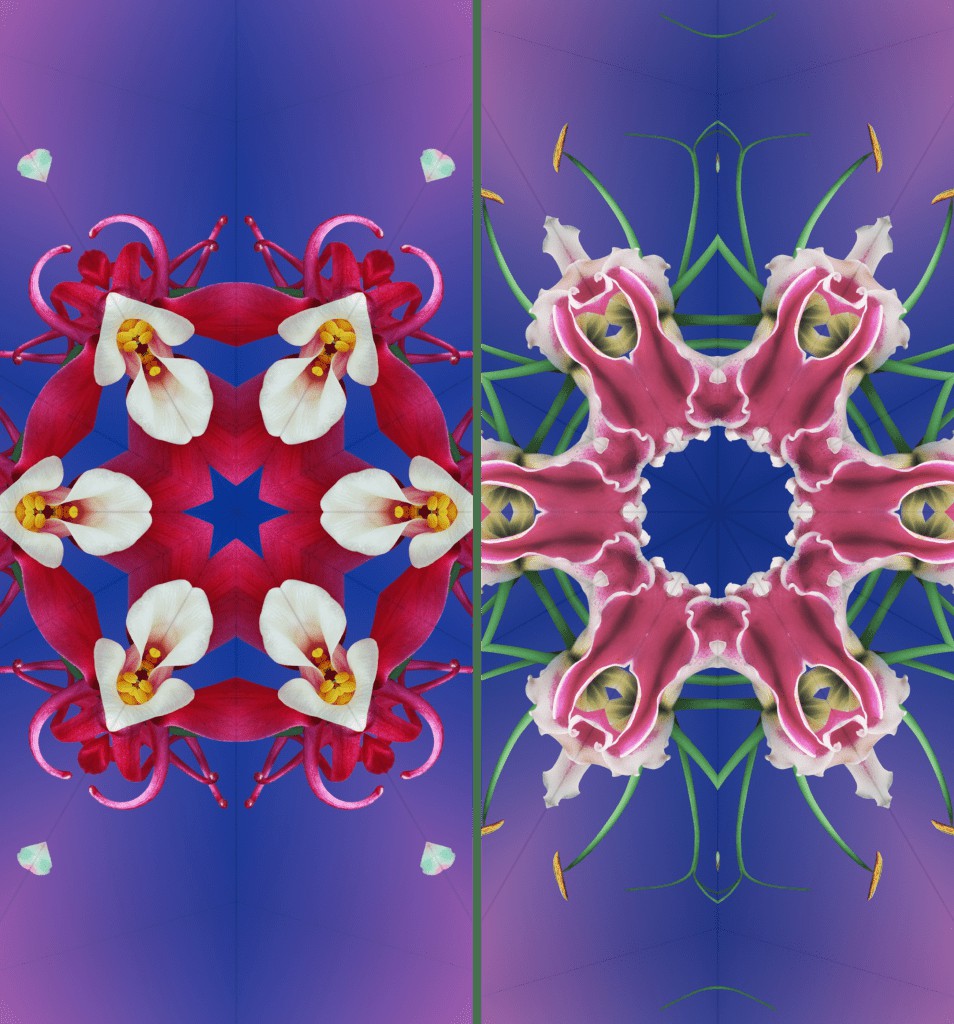 Pink Kaleidoscope Wallpapers