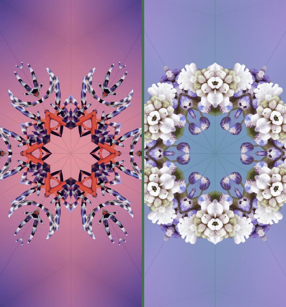 Violet Floral Kaleidoscope Wallpapers
