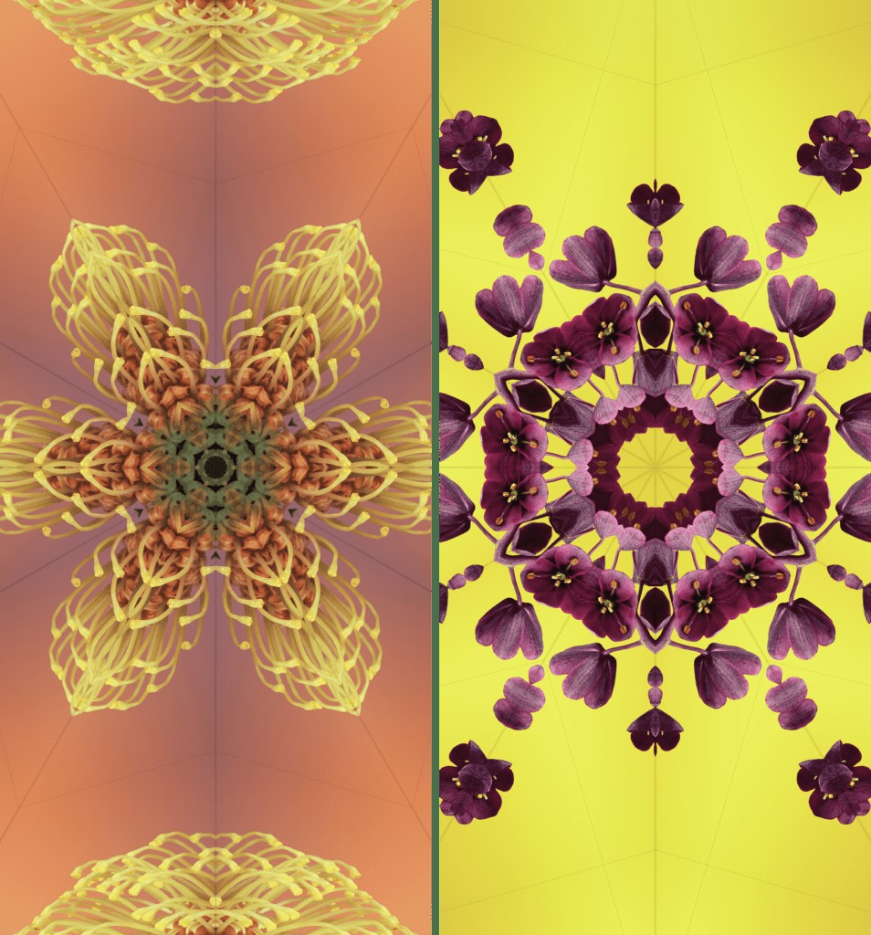 Yellow Floral Kaleidoscope Wallpapers