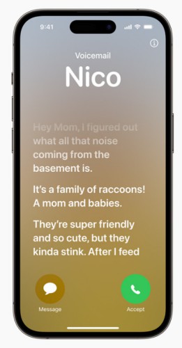 live voicemail 